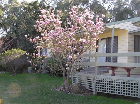 Annies Holiday Units - Southport Accommodation 0