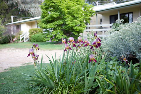 Annies Holiday Units - Southport Accommodation 2