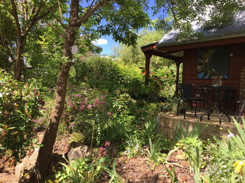 Artscape Cottage Beechworth - Southport Accommodation 2