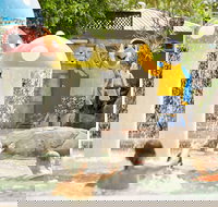 Ashmore Palms Holiday Village - Southport Accommodation