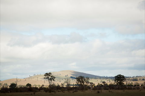 Aurelias Farm Bed And Breakfast - Accommodation Southport 1