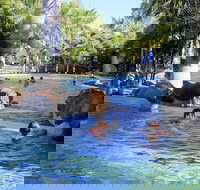 Big4 Aussie Outback Oasis Holiday Park - Southport Accommodation