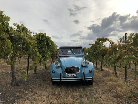 Birches Bed And Breakfast Mudgee - Accommodation Southport 2