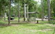 Broadwater Camping Area, Abergowrie State Forest - thumb 0