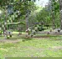 Broadwater camping area Abergowrie State Forest - Southport Accommodation