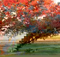 Little Kickabell Country Homestead - Accommodation Southport