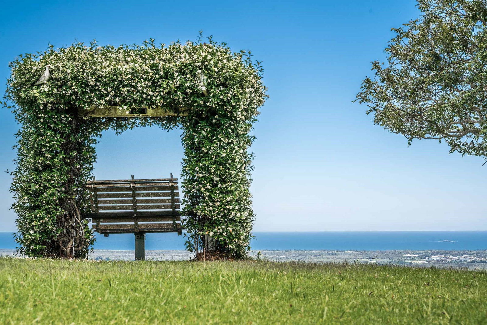 Mcleods Shoot NSW Accommodation Southport