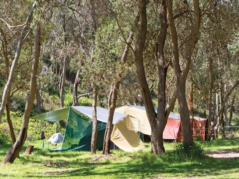 Pebbly Beach Campground - Yuraygir National Park - Southport Accommodation 1