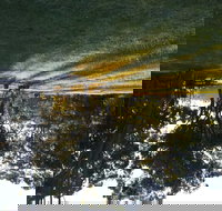 Possum's Hollow and Hooter's Hut - Southport Accommodation