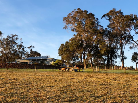 Great Southern Outback Tours & Accommodation - Accommodation Southport 2