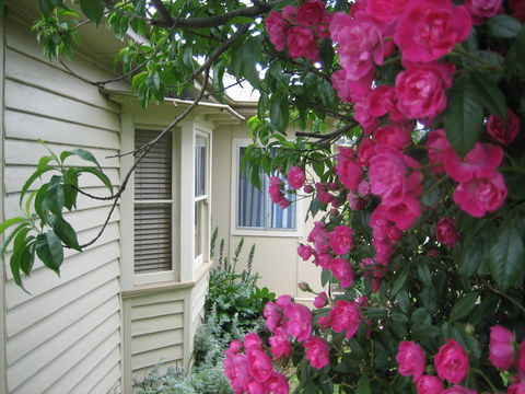 Valley Views Bed And Breakfast - Southport Accommodation 0