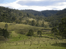 Yasuragi Cabins - Southport Accommodation