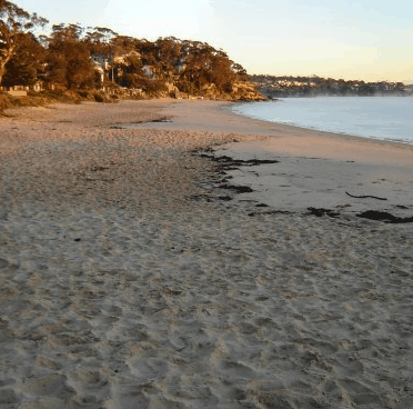 Beachhaven Bed & Breakfast - thumb 5