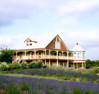 Serendipity Lavender Farm - Accommodation Southport
