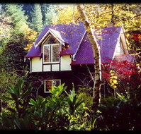 Forest Glade Olinda - Southport Accommodation
