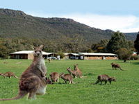 Halls Gap Log Cabins - Accommodation Southport 2