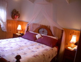 Alfay Cottage - Southport Accommodation 1