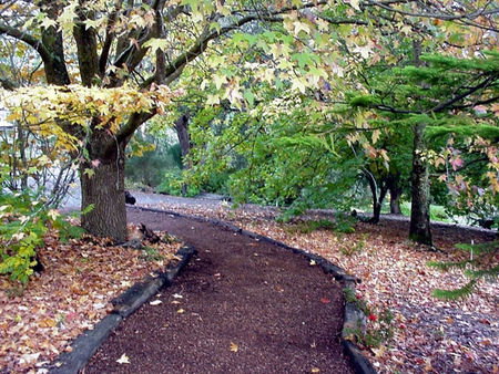 Brigadoon Cottages - Accommodation Southport 3