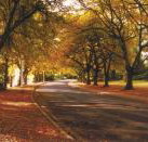 La Trobe at Beechworth - Southport Accommodation
