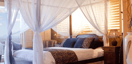 Avocado Sunset - Accommodation Southport 2