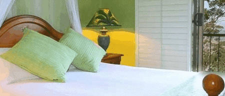 Avocado Sunset - Accommodation Southport 3