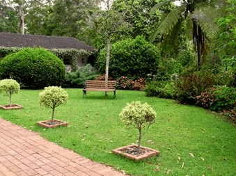 Tall Trees Motel - Accommodation Southport 2