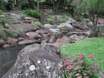 Tall Trees Motel - Accommodation Southport 3