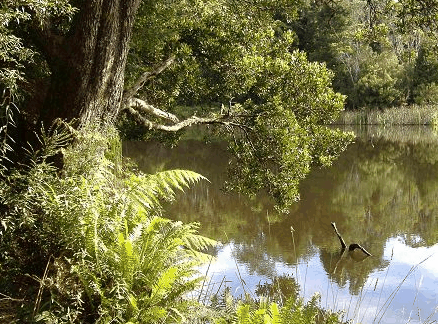 Weldborough Hotel - Accommodation Southport