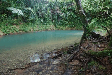 Heritage Lodge And Spa - Southport Accommodation