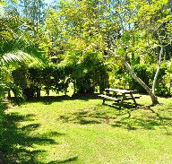 Wooli Caravan Park - Southport Accommodation
