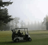 Tenterfield Golf Club Fairways Lodge - Southport Accommodation