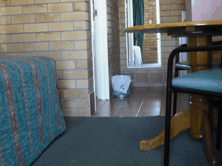 Dragon  Phoenix Motel - Southport Accommodation