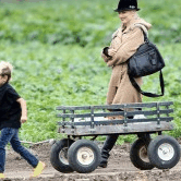 Perth City Farm Organic Markets - Southport Accommodation