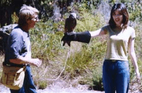 Eagles Heritage Raptor Wildlife Centre - Southport Accommodation 2