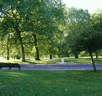 Roma Street Parkland - Southport Accommodation