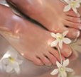 Orchid Day Spa - Southport Accommodation