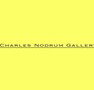Charles Nodrum Gallery - Southport Accommodation