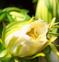 Tropical Fruit World - Accommodation Southport 2