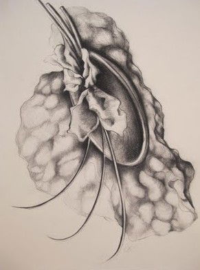 The Library Artspace - Southport Accommodation 1