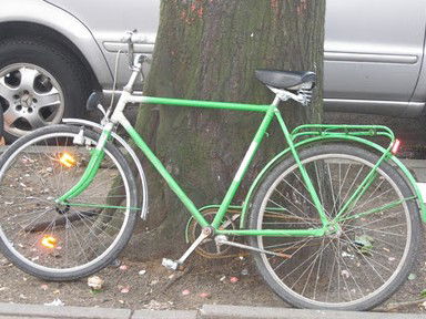 The Library Artspace - Southport Accommodation 2