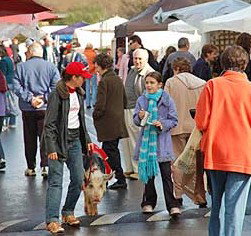 Arts Nunawading Inc - Accommodation Southport 0