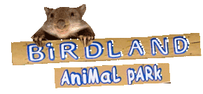Birdland Animal Park - Accommodation Southport