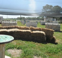 We Are Paintball - Accommodation Southport