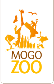Mogo Zoo - Accommodation Southport