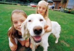 Camberwell Shopping Centre - Southport Accommodation 2