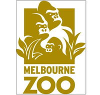 Melbourne Zoo - Accommodation Southport