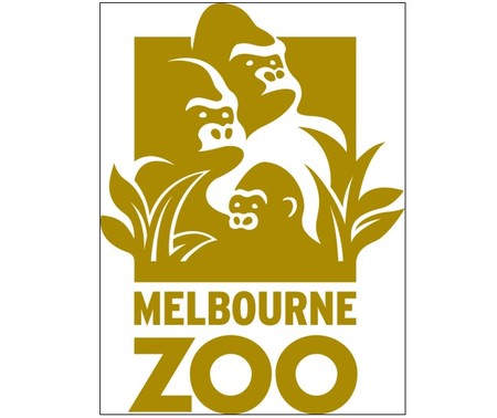 Melbourne Zoo - Southport Accommodation 0