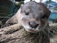Underwater World - Southport Accommodation 1