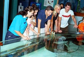 Underwater World - Southport Accommodation 3