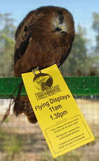 Eagles Heritage - Southport Accommodation 1